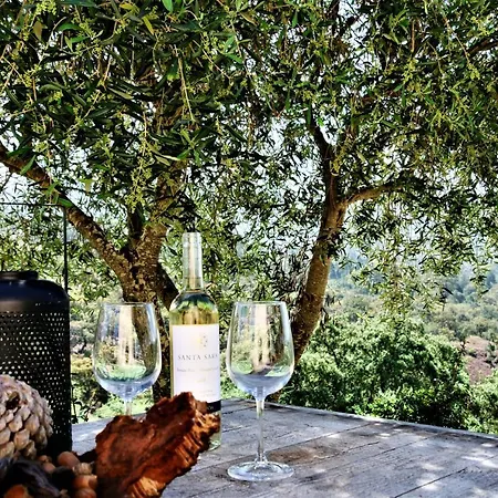 Bed & Breakfast Casa Escondida, Adults Only