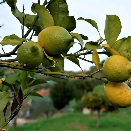 Bed & Breakfast Casa Escondida, Adults Only *