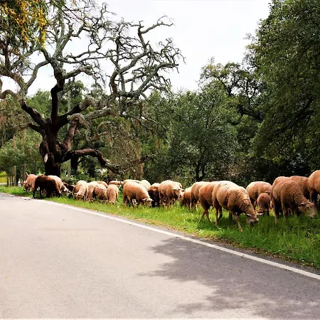 Casa Escondida, Adults Only Couette-café *