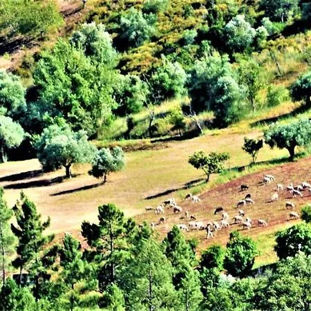 Casa Escondida, Adults Only Bed & Breakfast *