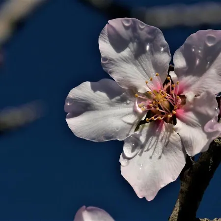 Casa Escondida, Adults Only *