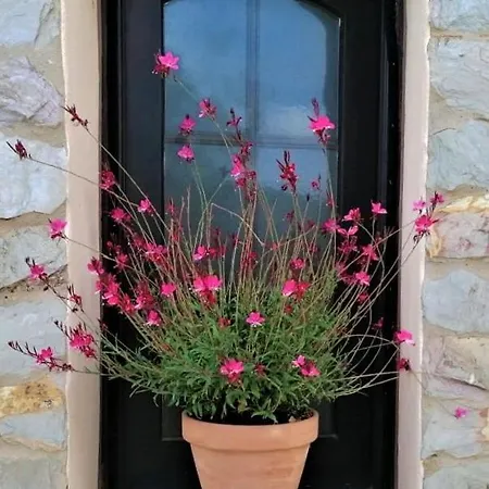 Casa Escondida, Adults Only Bed & Breakfast *