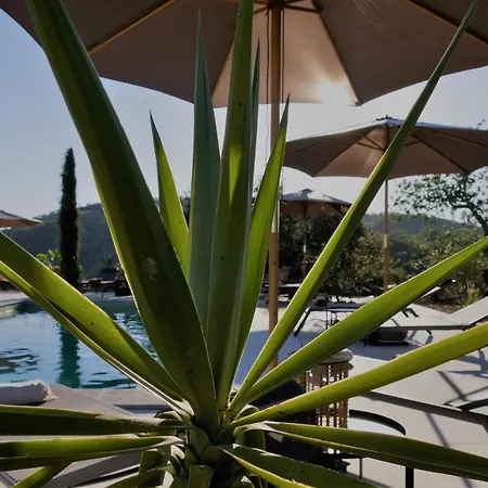 Bed & Breakfast Casa Escondida, Adults Only